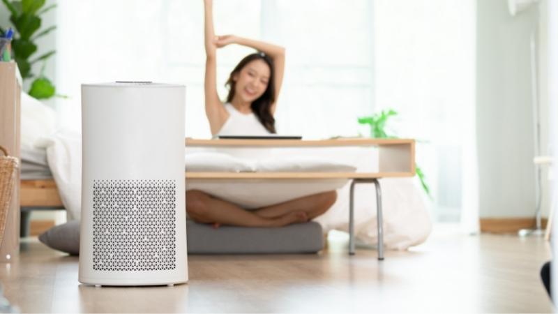 Best Air Purifier for Home in Delhi